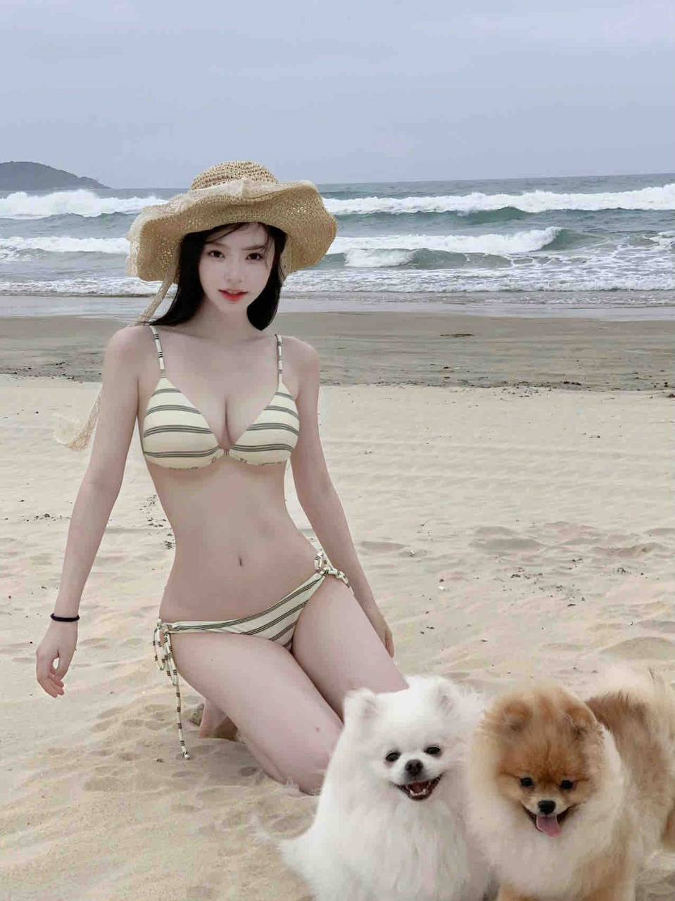 海角社区官网绿帽